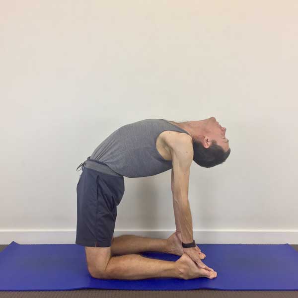 11+ Ustrasana Yoga Yoga Poses