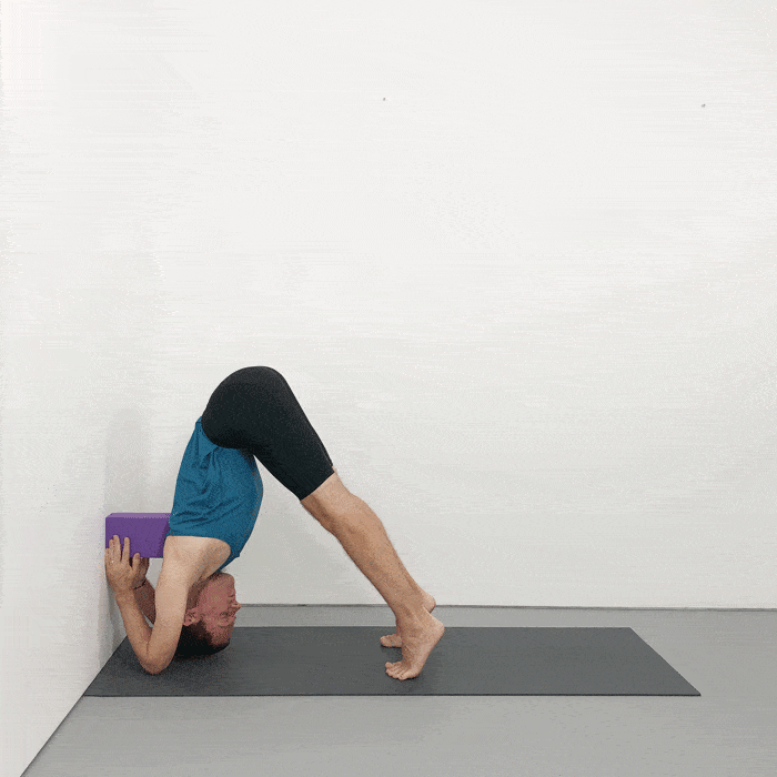 Fit trainer doing yoga headstand pose working at body endurance Stock Photo  by DC_Studio