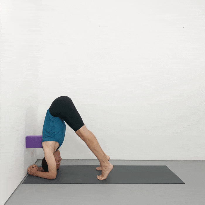 Yoga Poses for Nasal Congestion - Ekam Yogashala