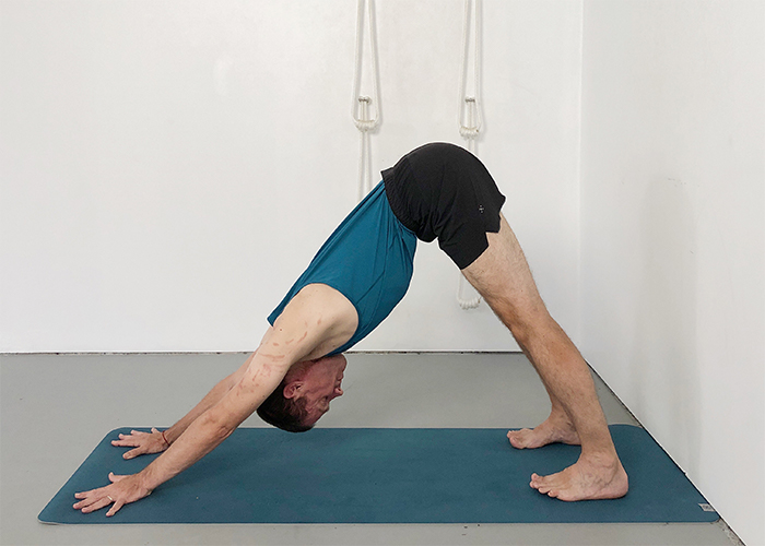 Downward Facing Dog Pose Adho Mukha Svanasana Yoga Selection