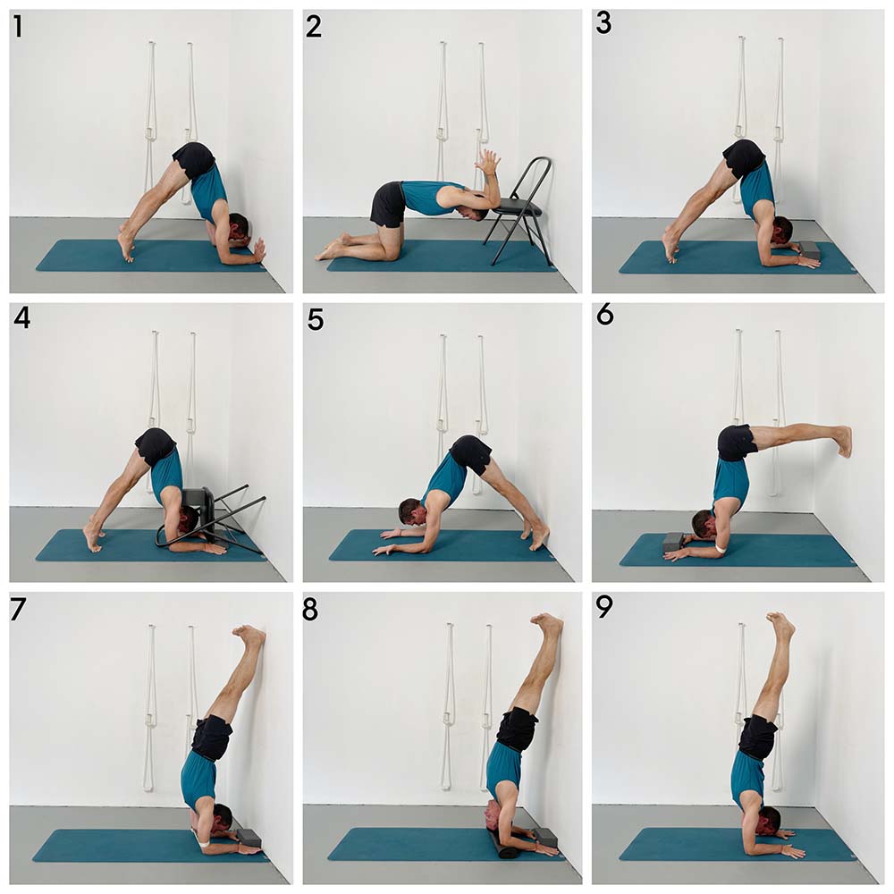 Pincha Mayurasana (Feathered Peacock or Forearm Balance) | Yoga Selection