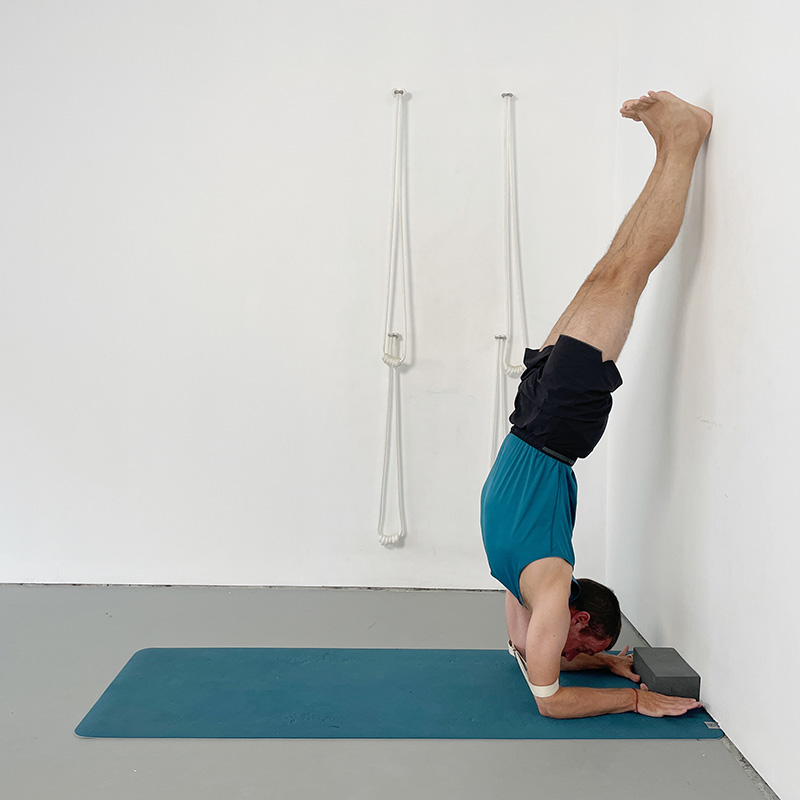 pincha mayurasana