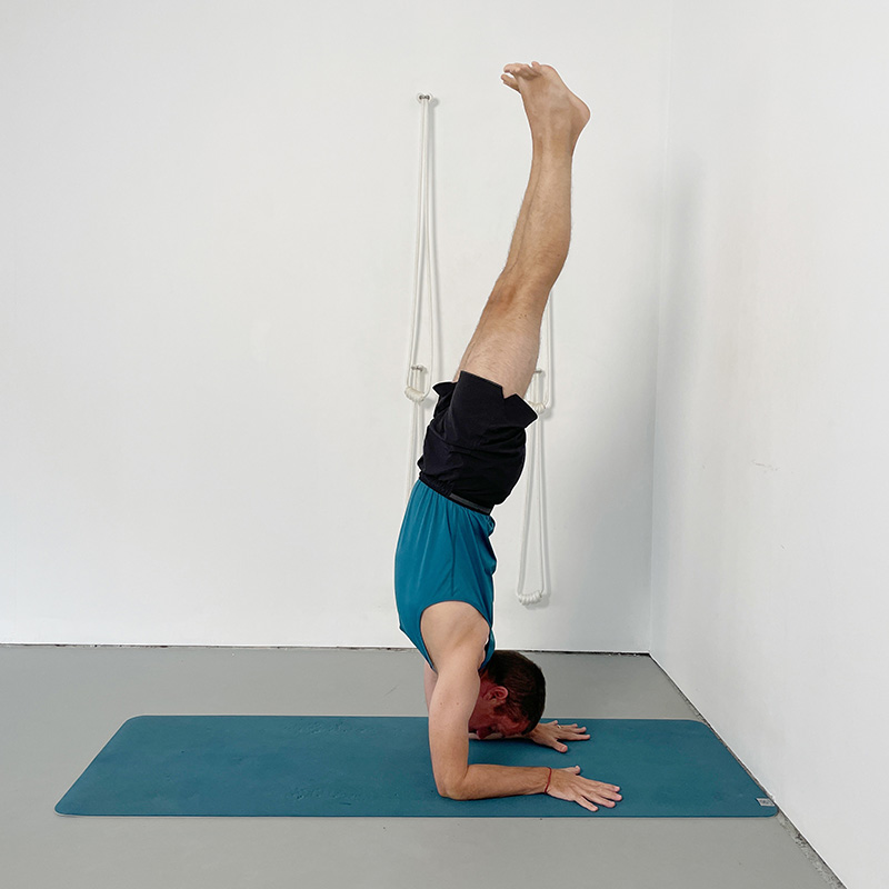 pincha mayurasana free balancing