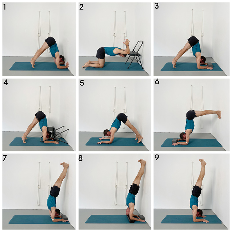pincha mayurasana Forearm balance)
