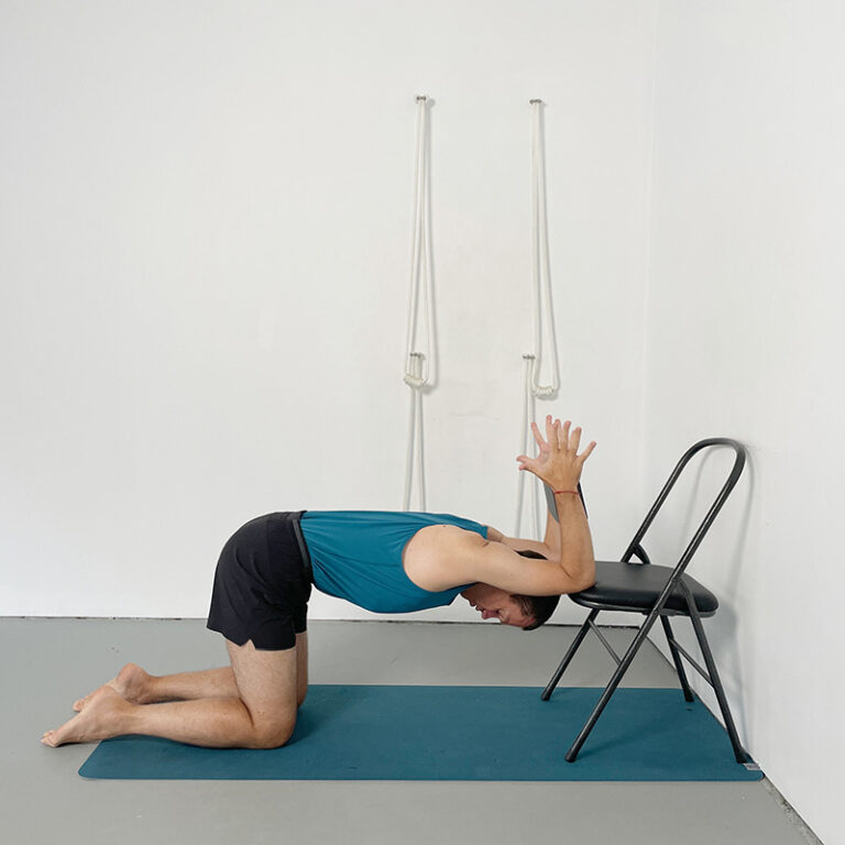Pincha Mayurasana (Feathered Peacock or Forearm Balance) | Yoga Selection