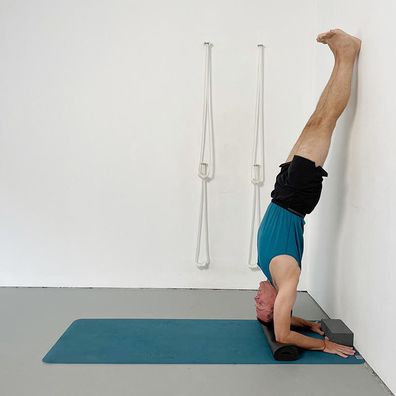 pincha mayurasana with rolled blanket under elbows