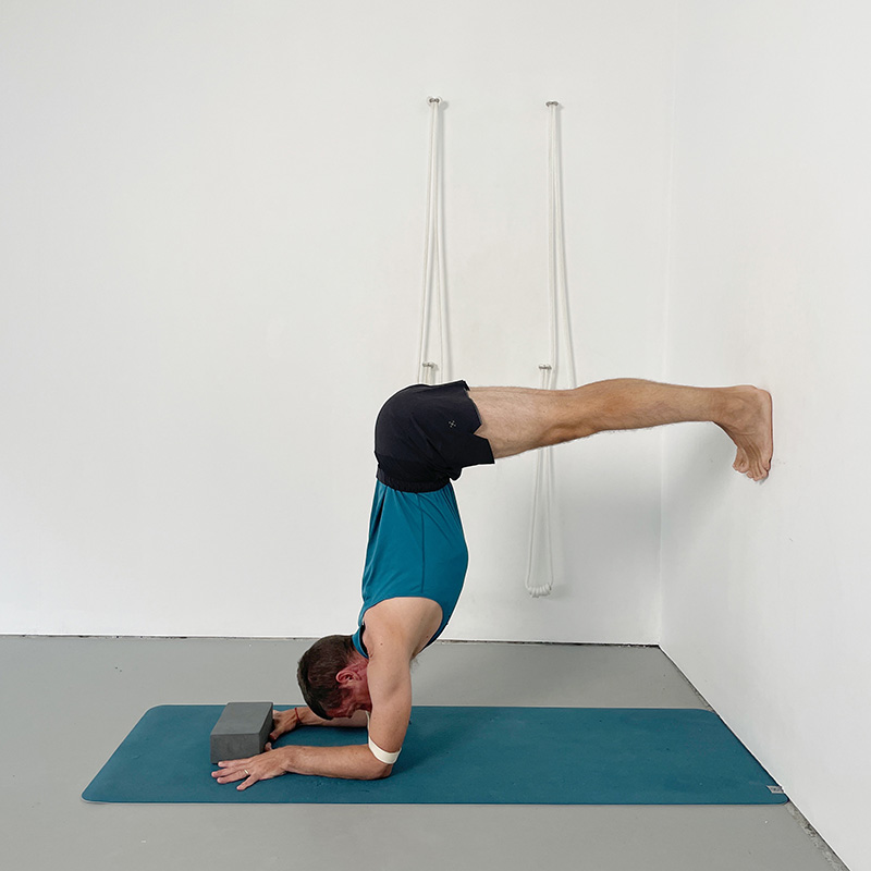 pincha mayurasana preparation stepping up the wall