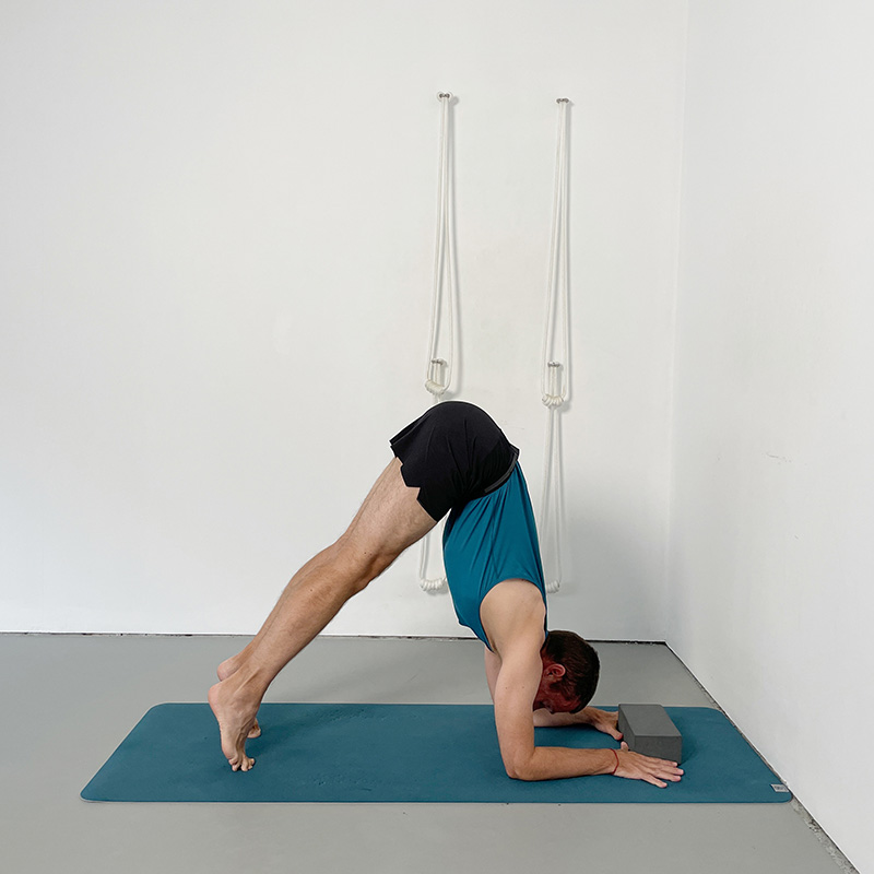 forearm balance preparation