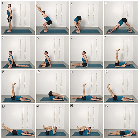 Online Iyengar Yoga Courses