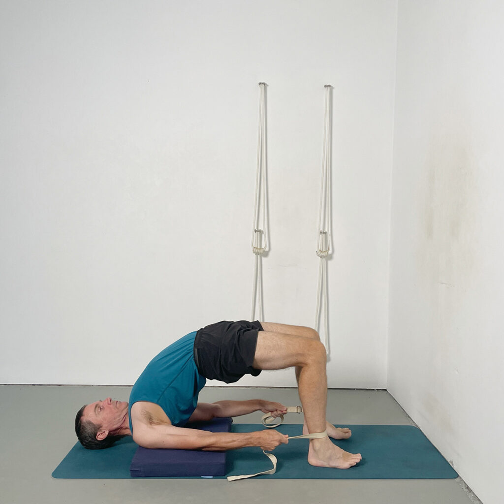chatushpadasana