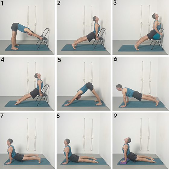 urdhva mukha svanasana upward facing dog pose