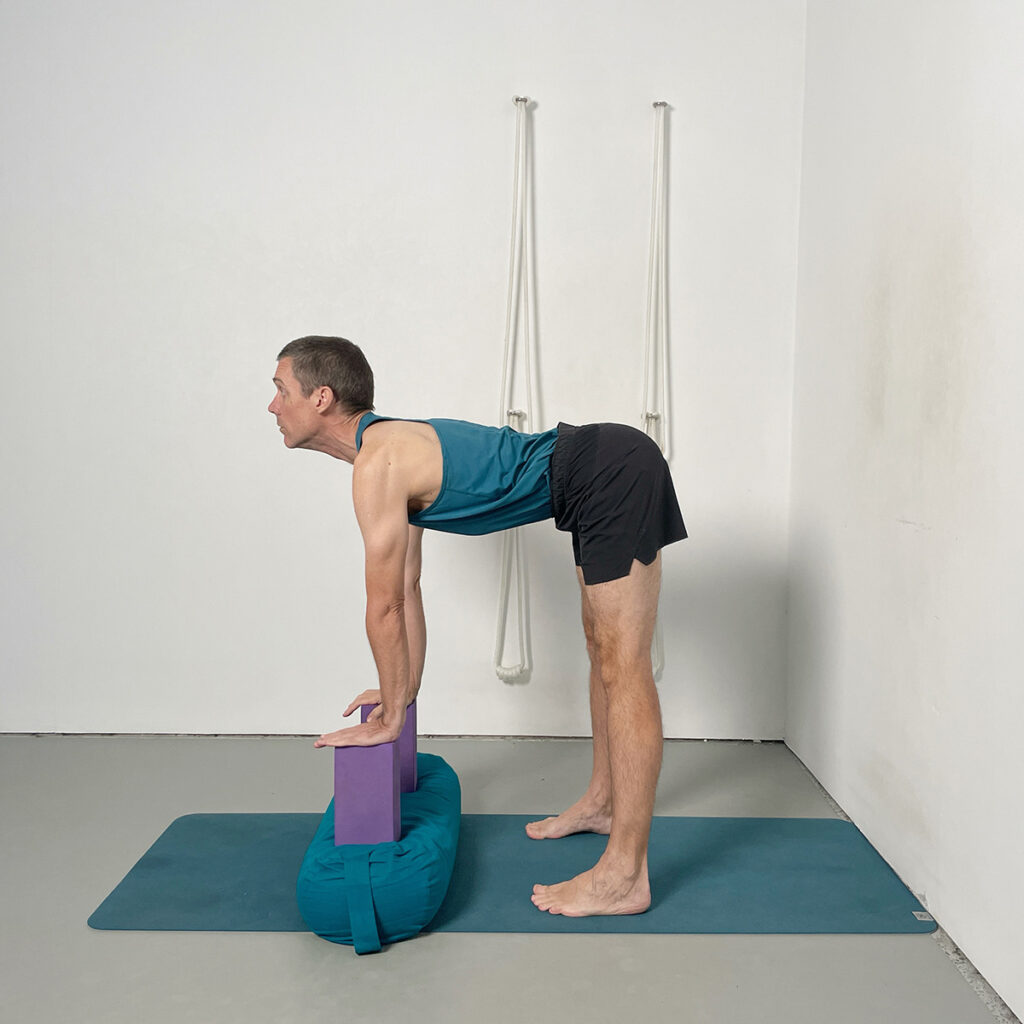 Uttanasana with Blocks (Standing Forward Bend with Support)