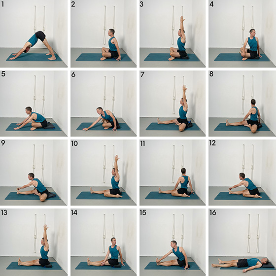 spinal lift, twists and forward bends