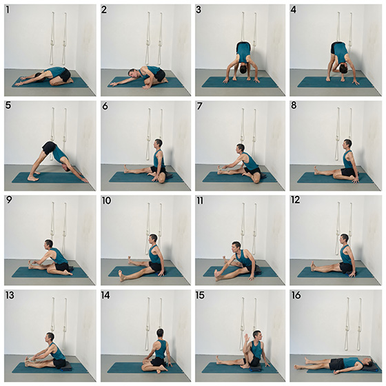 forward bends and twists