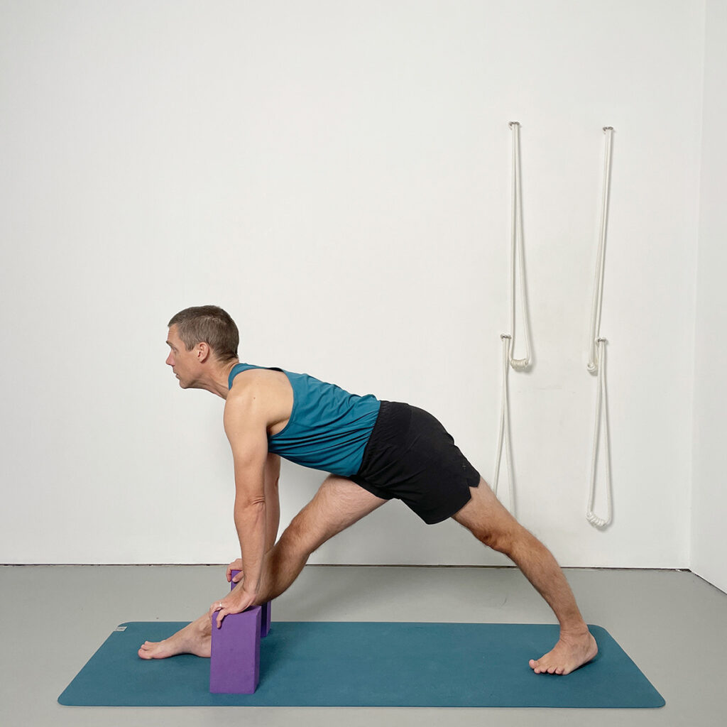 parsvottanasana hands blocks