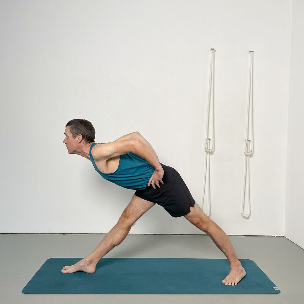 parsvottanasana hands hips