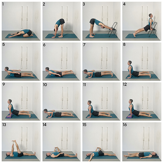 urdhva mukha svanasana