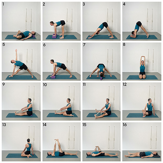 foundational seated poses and twists