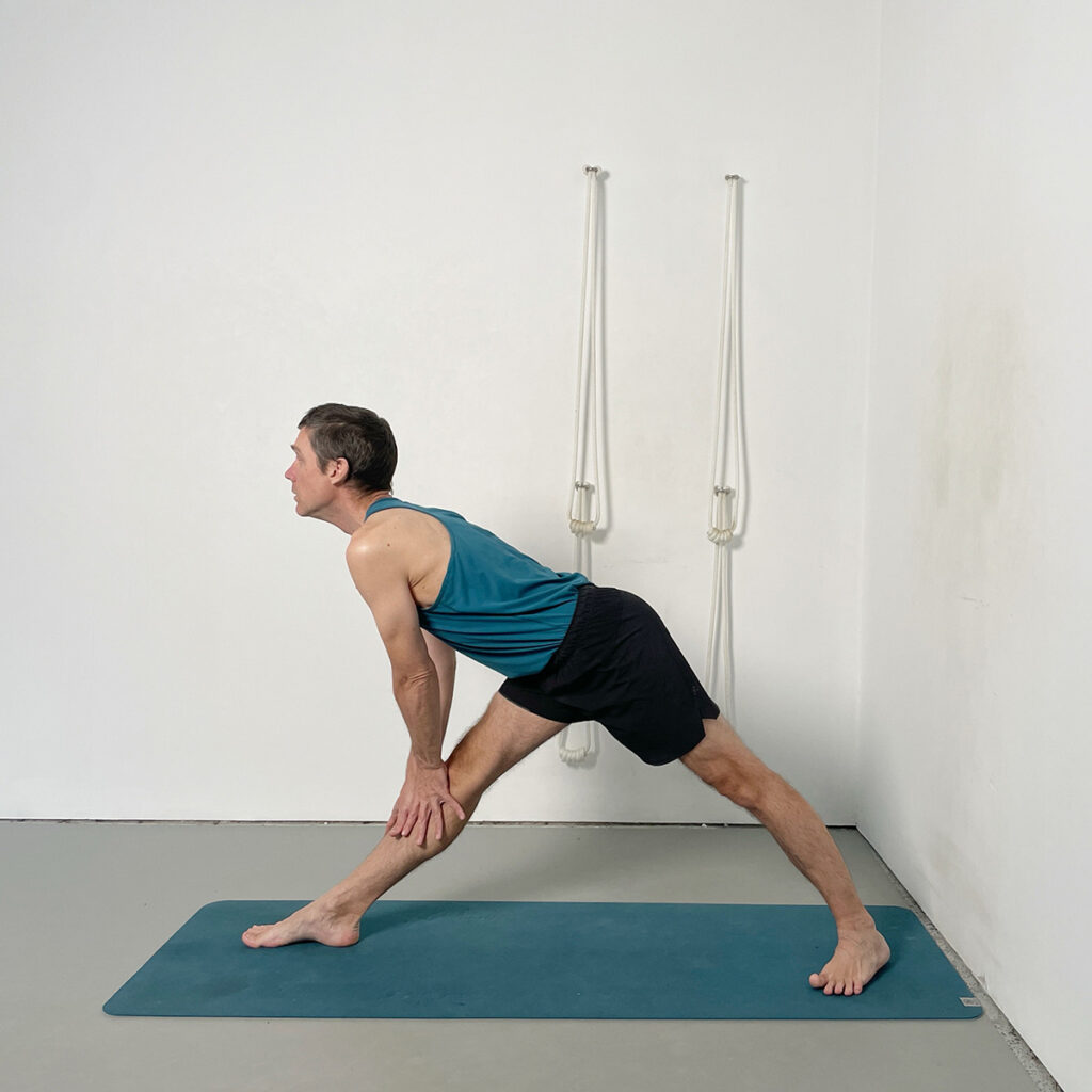 parsvottanasana hands to shin