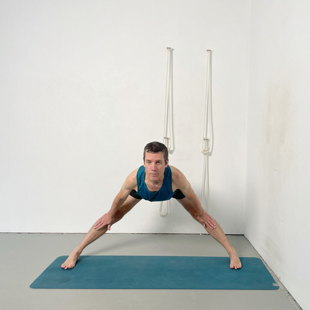 prasarita padottanasana hands to shins yoga at home
