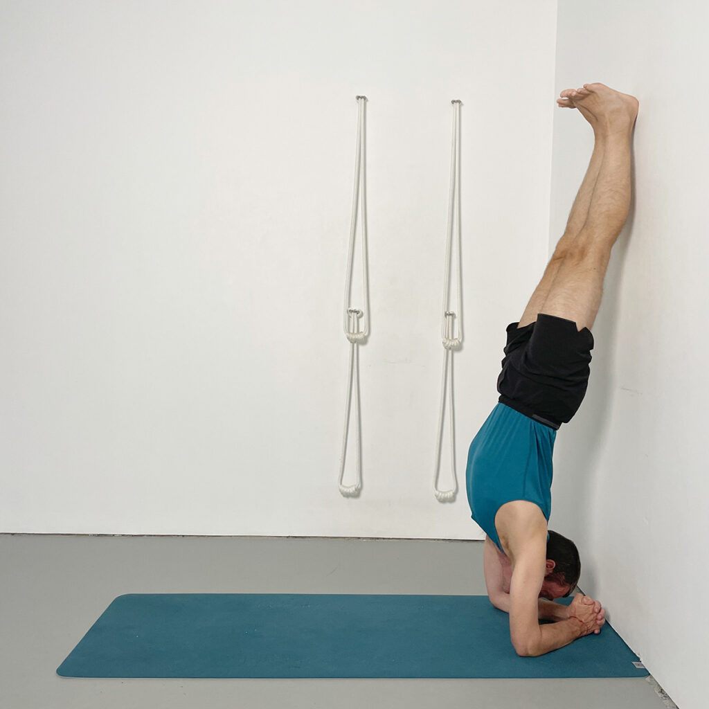 headstand preparation with head off the floor