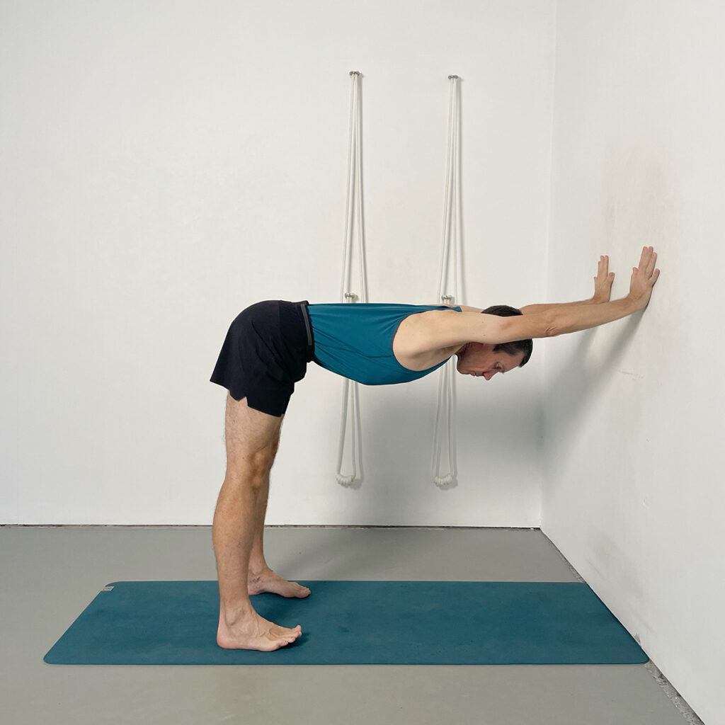 Ardha Uttanasana (Half Standing Forward Bend - at the Wall)
