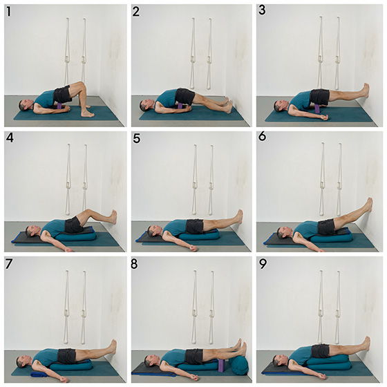 setu bandha sarvangasana