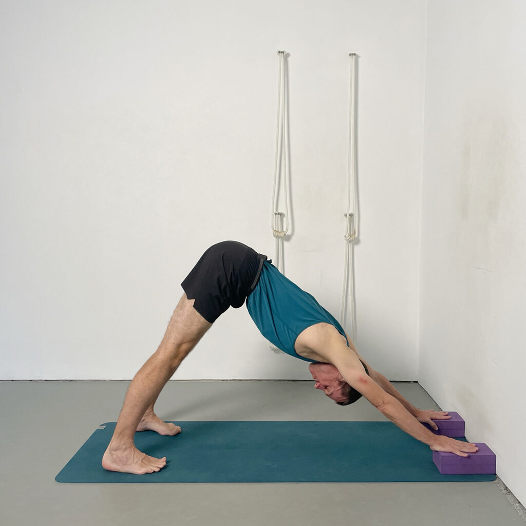 adho mukha svanasana with hands on blocks