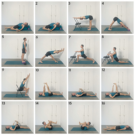 pelvis and legs