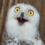 Profile picture of Susan S