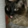 Profile picture of Meagan P