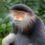 Profile picture of Sarah N