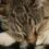 Profile picture of Laurie B