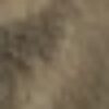 Profile picture of Lineke W